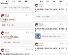 三哥直播爆料视频大全最新,最新爆料视频大全精彩回顾
