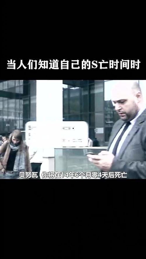 一天和你做在线播放,在线播放的奇妙旅程
