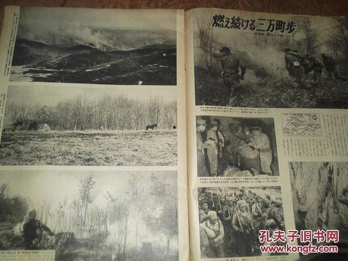 日本1953,日本战后重建与崛起的关键转折点
